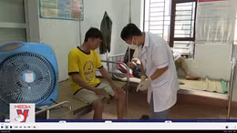 Lai Châu quyết liệt ngăn chặn bùng phát bệnh than
