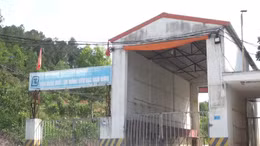 Xử phạt một trại lợn 320 triệu đồng vì gây ô nhiễm môi trường