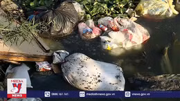 Nhiều khó khăn trong giảm thiểu rác nhựa dùng 1 lần