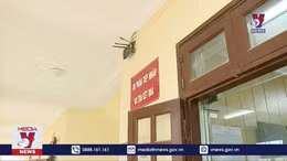 Cần sớm làm rõ vụ đột nhập trụ sở cơ quan nhà nước