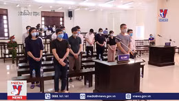 11 bị cáo vụ công ty Nhật Cường làm đơn kháng cáo