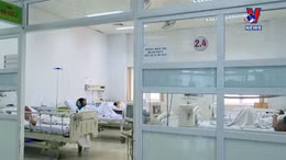 Cảnh báo người dân bị ngộ độc do ăn nấm tại Đắk Lắk