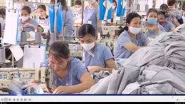 Bảo hiểm thất nghiệp: Chỗ dựa của người lao động