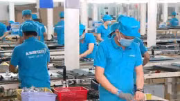 Phạt, truy thu thuế hơn 68 tỉ đồng với Công ty Asanzo 