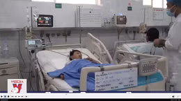 Hai mẹ con nhập viện nghi do ngộ độc nấm mọc trên xác nhộng ve sầu
