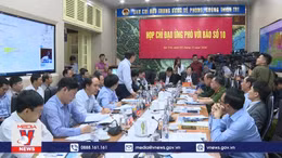 Không chủ quan với bão số 10