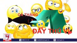 Cá tháng tư – nguồn gốc và ý nghĩa đầy đủ thú vị bạn nên biết