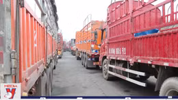 Hàng nghìn xe container mắc kẹt ở cửa khẩu Kim Thành - Lào Cai
