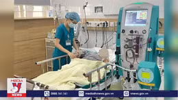 Ba bệnh nhân tử vong do ăn phải nấm độc