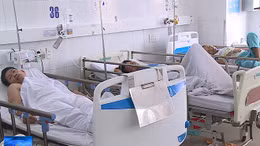 Xử phạt cơ sở kinh doanh thực phẩm khiến hơn 230 người ngộ độc