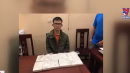 Nghệ An bắt giữ vụ vận chuyển 12 bánh heroin
