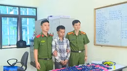 Sơn La bắt đối tượng vận chuyển số lượng lớn ma túy