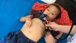 Bốn trẻ nhỏ tại Tuyên Quang bị ngộ độc do ăn thịt cóc