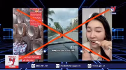TikTok có nên bị cấm tại Việt Nam?