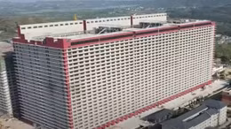 'Chung cư' chăn nuôi lợn ở Trung Quốc