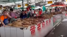 Giải cứu hàng trăm con chó đang được đưa đến lễ hội thịt chó lớn nhất Trung Quốc