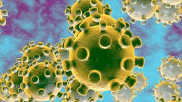 Đức sẽ có vaccine chế ngự virus Corona mới trong vài tháng tới