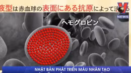 Máu nhân tạo có thể truyền cho mọi nhóm máu