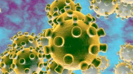 Điều kiện thời tiết khiến virus SARS-CoV-2 suy yếu