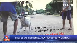 Chưa có vắc xin phòng dại của Trung Quốc tại Việt Nam
