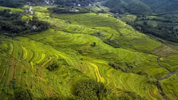Vẻ đẹp ruộng bậc thang Miền Đồi ở Hòa Bình