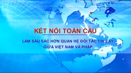Kết nối toàn cầu: Làm sâu sắc hơn quan hệ đối tác tin cậy giữa Việt Nam và Pháp