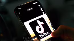 Công khai tiền thuế Google, Facebook, TikTok nộp tại Việt Nam