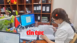 TP Hồ Chí Minh: Vận hành hiệu quả mô hình chính quyền 2 cấp sau 1 tháng triển khai