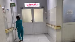 Thêm 19 người nhập viện trong vụ ngộ độc bánh đêm Trung thu