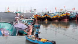 Ảnh thời sự - Tiêu điểm ngày 8/4/2025