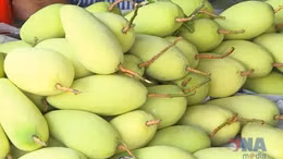 Xoài Việt Nam chiếm lĩnh thị trường Trung Quốc