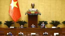 Tổ chức chính quyền địa phương cần xem xét thận trọng