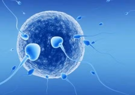 Hàng triệu trẻ được sinh ra bằng phương pháp thụ tinh trong ống nghiệm ảnh 1