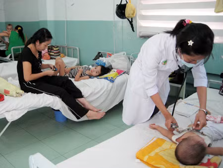 TP Hồ Chí Minh: Bệnh dịch gia tăng ảnh 1