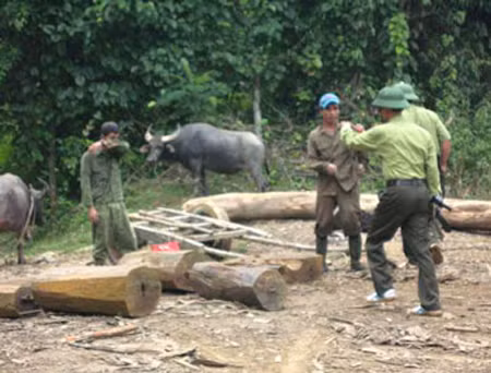 Đã xác định ba kẻ chém gãy tay kiểm lâm ảnh 1