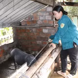 Mở rộng cơ hội việc làm cho lao động miền núi, vùng dân tộc