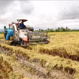 Cầu nối phát triển kinh tế nông thôn