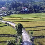 Tuyên Quang: Mục tiêu có 60 xã đạt chuẩn nông thôn mới vào năm 2030