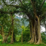 Tùng Bá đánh thức tiềm năng du lịch sinh thái từ cảnh quan nguyên sơ
