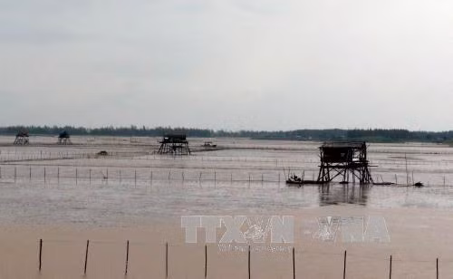 Bão số 1 gây mưa lớn tại các tỉnh ven biển ảnh 9