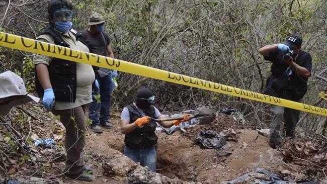 Mexico phát hiện thêm 7 hố chôn tập thể ảnh 1