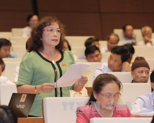 Trưng cầu ý dân là thể hiện quyền làm chủ của nhân dân ảnh 2