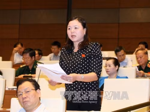 Quốc hội thảo luận Bộ luật Dân sự (sửa đổi) ảnh 2