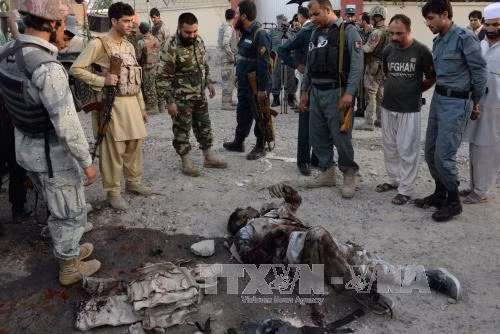 Afghanistan tiêu diệt 85 phiến quân Taliban ảnh 1