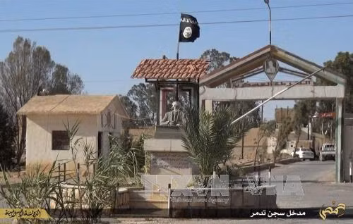 Nga kêu gọi Mỹ phối hợp với Syria chống IS ảnh 1