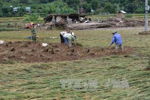 Công điện yêu cầu khẩn trương khắc phục hậu quả bão số 1 ảnh 1