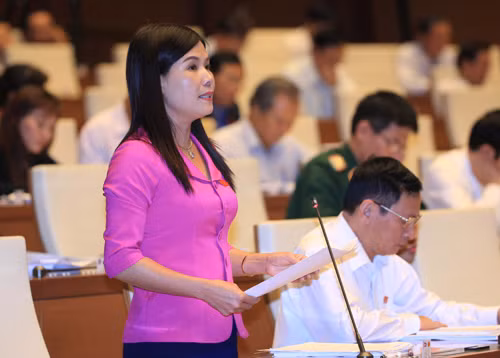 Tập trung xây dựng nông thôn mới và giảm nghèo bền vững ảnh 1
