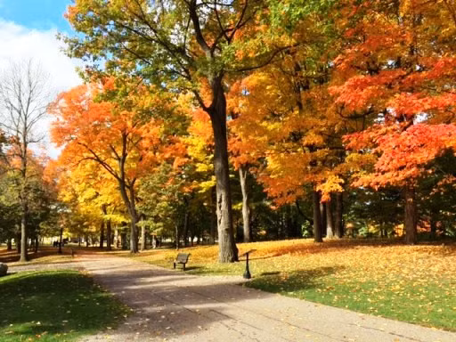 Canada vào thu đẹp mê hồn với lá vàng, lá đỏ ảnh 2