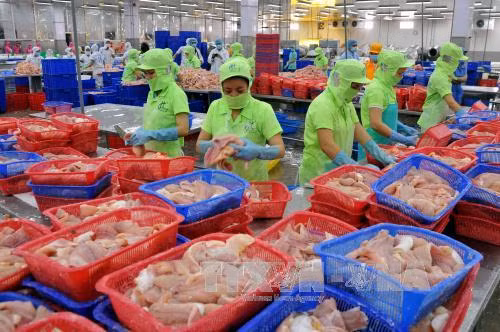 EU hy vọng EVFTA mở ra cơ hội mới hợp tác với Việt Nam ảnh 1