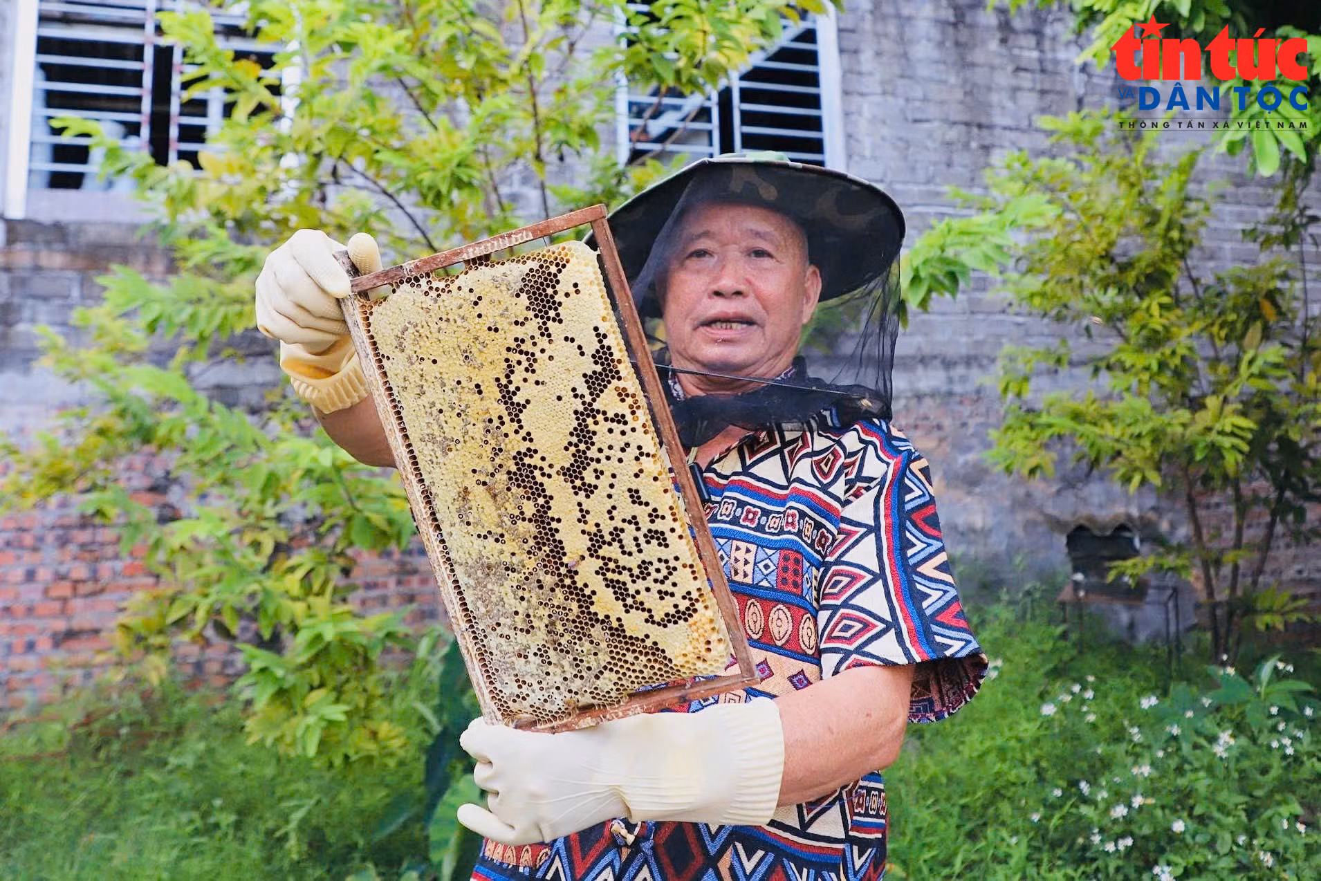 baotintuc_tr_1791613209480-8227991183675312649-8227991183675312649-f0fcf4799d815363b56744cdb22309d4.jpg